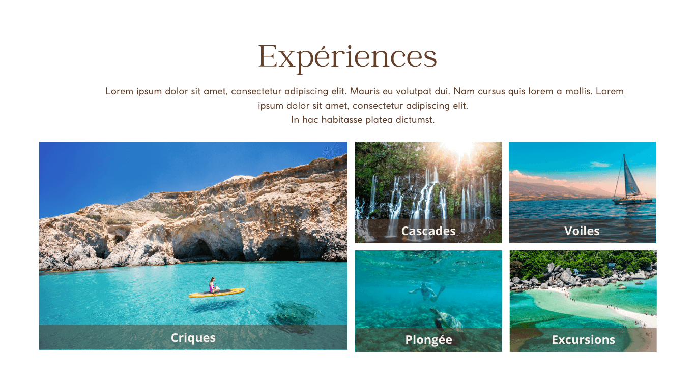 Expériences